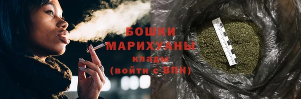 шишки Бронницы