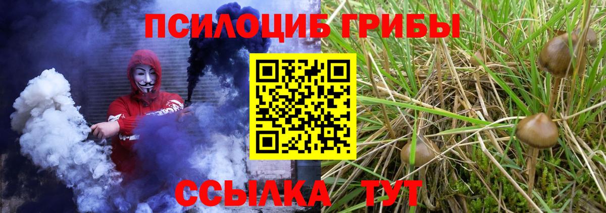 Галлюциногенные грибы Magic Shrooms  Вход с VPN  Выборг 