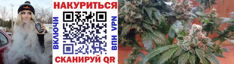 Бошки марихуана MAZAR  наркота  Выборг 